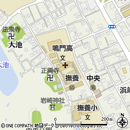 徳島県立鳴門高等学校　定時制周辺の地図