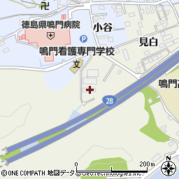 徳島県鳴門市撫養町斎田見白43周辺の地図
