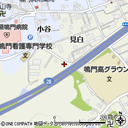 徳島県鳴門市撫養町斎田見白38周辺の地図