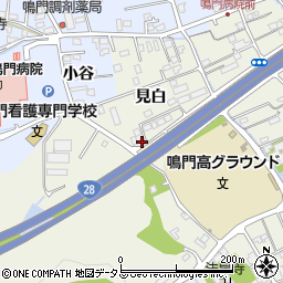 徳島県鳴門市撫養町斎田見白25周辺の地図
