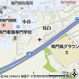 徳島県鳴門市撫養町斎田見白26周辺の地図