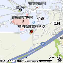 徳島県鳴門市撫養町黒崎小谷10周辺の地図