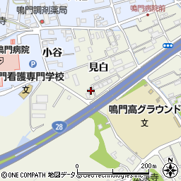 徳島県鳴門市撫養町斎田見白24周辺の地図