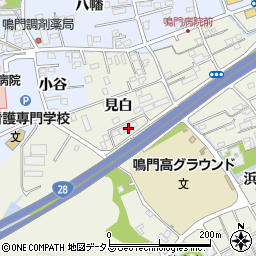徳島県鳴門市撫養町斎田見白20周辺の地図