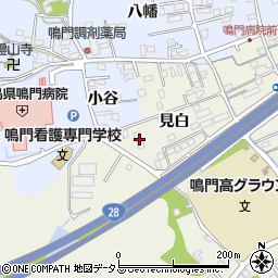 徳島県鳴門市撫養町斎田見白29周辺の地図