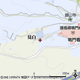徳島県鳴門市撫養町黒崎小谷65周辺の地図