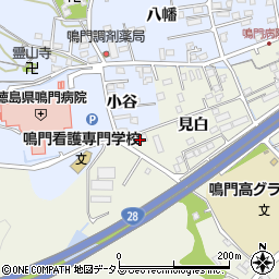 徳島県鳴門市撫養町斎田見白32周辺の地図