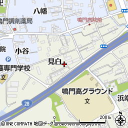 徳島県鳴門市撫養町斎田見白20-3周辺の地図