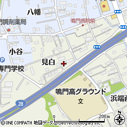 徳島県鳴門市撫養町斎田見白14周辺の地図