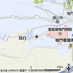 徳島県鳴門市撫養町斎田見白114周辺の地図