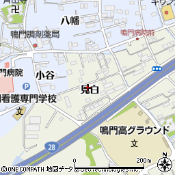 徳島県鳴門市撫養町斎田見白11周辺の地図