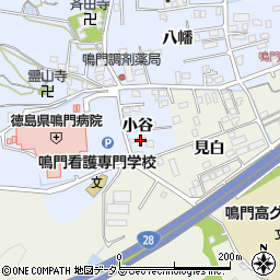 徳島県鳴門市撫養町黒崎小谷7周辺の地図