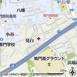 徳島県鳴門市撫養町斎田見白13周辺の地図