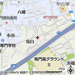 徳島県鳴門市撫養町斎田見白12周辺の地図
