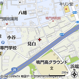 徳島県鳴門市撫養町斎田見白12周辺の地図