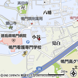 徳島県鳴門市撫養町黒崎小谷6周辺の地図