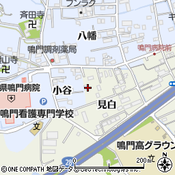 徳島県鳴門市撫養町斎田見白8周辺の地図