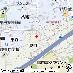 徳島県鳴門市撫養町斎田見白3-5周辺の地図
