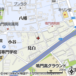 徳島県鳴門市撫養町斎田見白2周辺の地図
