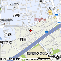 徳島県鳴門市撫養町斎田見白1-6周辺の地図