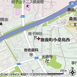 徳島県鳴門市撫養町小桑島西133周辺の地図