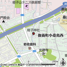 徳島県鳴門市撫養町小桑島西135周辺の地図