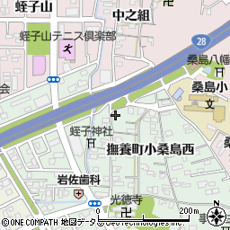 徳島県鳴門市撫養町小桑島西55周辺の地図