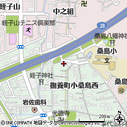 徳島県鳴門市撫養町小桑島西49-5周辺の地図
