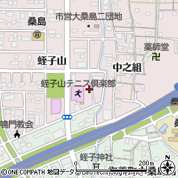 徳島県鳴門市撫養町大桑島蛭子山44周辺の地図