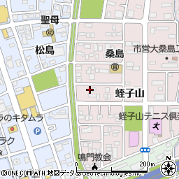徳島県鳴門市撫養町大桑島蛭子山117周辺の地図