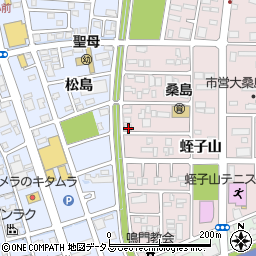 徳島県鳴門市撫養町大桑島蛭子山122周辺の地図
