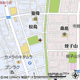 徳島県鳴門市撫養町黒崎松島180周辺の地図