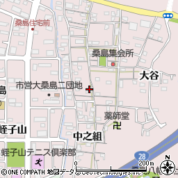 徳島県鳴門市撫養町大桑島北之組24周辺の地図