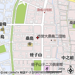 徳島県鳴門市撫養町大桑島蛭子山170周辺の地図