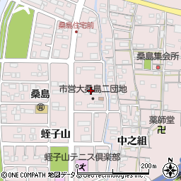 徳島県鳴門市撫養町大桑島周辺の地図