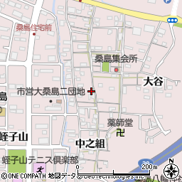 徳島県鳴門市撫養町大桑島北之組25周辺の地図