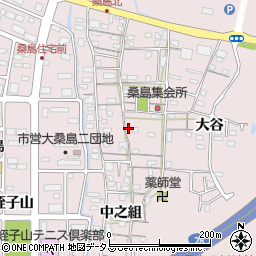 徳島県鳴門市撫養町大桑島北之組103周辺の地図
