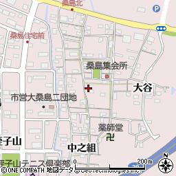 徳島県鳴門市撫養町大桑島北之組102-1周辺の地図