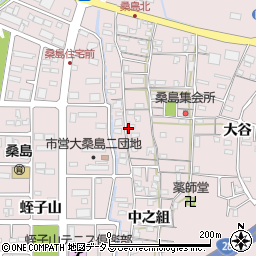 徳島県鳴門市撫養町大桑島北之組31周辺の地図