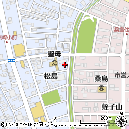 徳島県鳴門市撫養町黒崎松島202周辺の地図