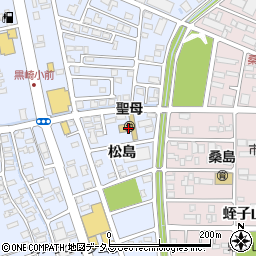 徳島県鳴門市撫養町黒崎松島208周辺の地図