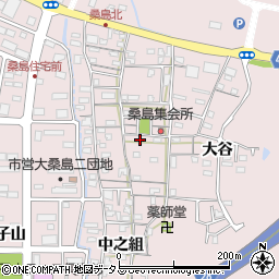 徳島県鳴門市撫養町大桑島北之組99周辺の地図