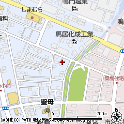徳島県鳴門市撫養町黒崎松島353周辺の地図