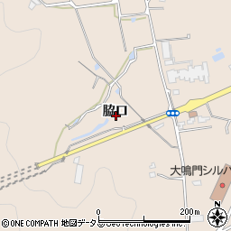 徳島県鳴門市鳴門町土佐泊浦（脇口）周辺の地図