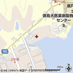 徳島県鳴門市瀬戸町明神上本城15周辺の地図