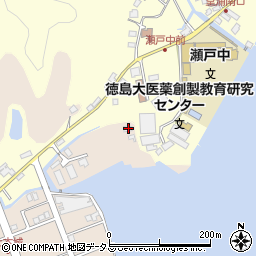 徳島県鳴門市瀬戸町明神上本城10周辺の地図