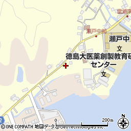 徳島県鳴門市瀬戸町堂浦地廻り壱63-4周辺の地図