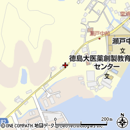 徳島県鳴門市瀬戸町堂浦地廻り壱59周辺の地図
