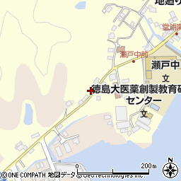 徳島県鳴門市瀬戸町堂浦地廻り壱61周辺の地図