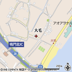 徳島県鳴門市鳴門町土佐泊浦大毛48周辺の地図